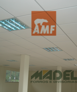 AMF